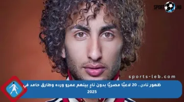 ظهور نادر.. 20 لاعبًا مصريًا بدون نادٍ بينهم عمرو وردة وطارق حامد في 2025